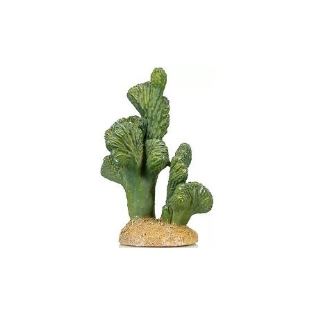 Cactus 8 résine 13x11x18cm - Giganterra à 13,95 € - Giganterra - G04-00324 - Décoration artificielle