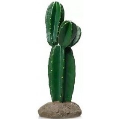 Cactus 9 résine 15x14,5x33cm - Giganterra à 29,95 € - Giganterra - G04-00338 - Décoration artificielle