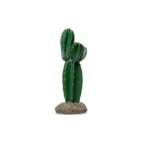 Cactus 9 résine 15x14,5x33cm - Giganterra à 29,95 € - Giganterra - G04-00338 - Décoration artificielle