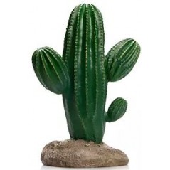 Cactus 10 résine 17x13x24,5cm - Giganterra à 21,95 € - Giganterra - G04-00339 - Décoration artificielle