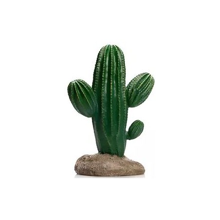 Cactus 10 résine 17x13x24,5cm - Giganterra à 21,95 € - Giganterra - G04-00339 - Décoration artificielle