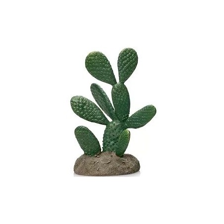 Cactus 12 résine 13x9x19,5cm - Giganterra à 17,95 € - Giganterra - G04-00341 - Décoration artificielle