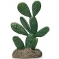 Cactus 12 résine 13x9x19,5cm - Giganterra G04-00341 Giganterra 17,95 € Ornibird