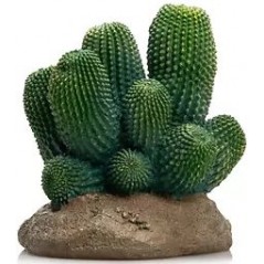 Cactus 13 résine 12x12x13cm - Giganterra à 17,95 € - Giganterra - G04-00342 - Décoration artificielle