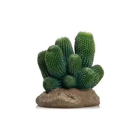 Cactus 13 résine 12x12x13cm - Giganterra à 17,95 € - Giganterra - G04-00342 - Décoration artificielle