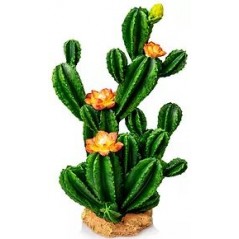 Cactus 351 résine 26x18,5x42,5cm - Giganterra à 49,95 € - Giganterra - G04-00351 - Décoration artificielle