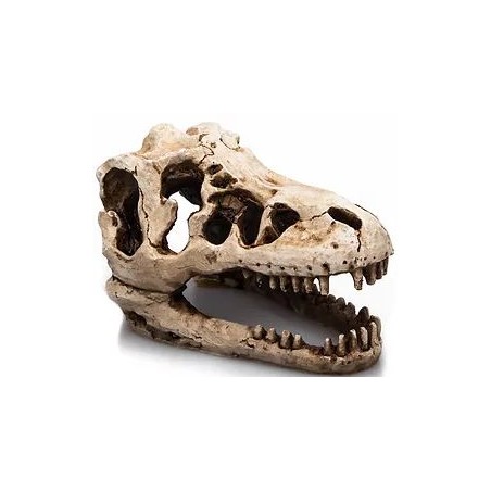 T-Rex résine 17cm - Giganterra à 17,95 € - Giganterra - G04-00266 - Décoration artificielle