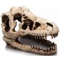 T-Rex résine 17cm - Giganterra