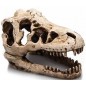 T-Rex résine 17cm - Giganterra G04-00266 Giganterra 17,95 € Ornibird