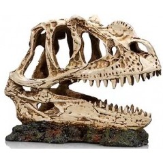 Socle Dinosaure 1 résine 19x9x14cm - Giganterra à 24,95 € - Giganterra - G04-00334 - Décoration artificielle