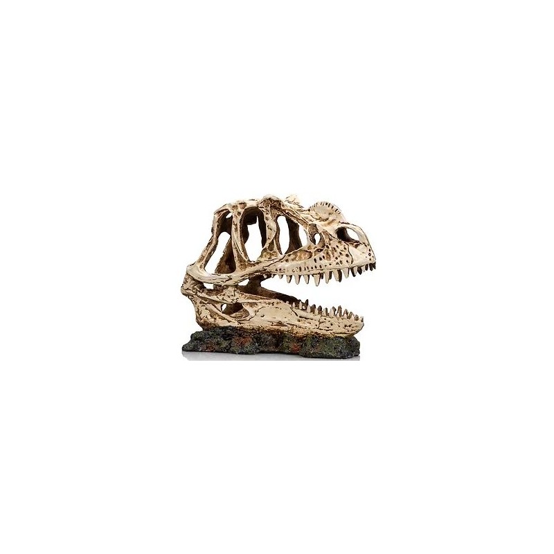 Socle Dinosaure 1 résine 19x9x14cm - Giganterra