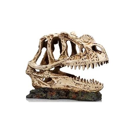 Socle Dinosaure 1 résine 19x9x14cm - Giganterra à 24,95 € - Giganterra - G04-00334 - Décoration artificielle