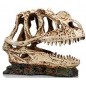 Socle Dinosaure 1 résine 19x9x14cm - Giganterra G04-00334 Giganterra 24,95 € Ornibird