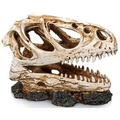 Socle Dinosaure 3 résine 13x6x11cm - Giganterra à 14,95 € - Giganterra - G04-00336 - Décoration artificielle