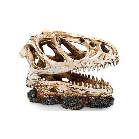 Socle Dinosaure 3 résine 13x6x11cm - Giganterra à 14,95 € - Giganterra - G04-00336 - Décoration artificielle