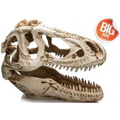 T-Rex XXL résine 39x19x29cm - Giganterra à 79,95 € - Giganterra - G04-00343 - Décoration artificielle