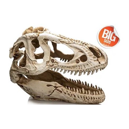 T-Rex XXL résine 39x19x29cm - Giganterra à 79,95 € - Giganterra - G04-00343 - Décoration artificielle