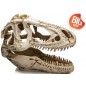 T-Rex XXL résine 39x19x29cm - Giganterra G04-00343 Giganterra 79,95 € Ornibird