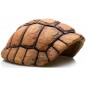 Carapace de Tortue grotte 20x17x9,5cm - Giganterra