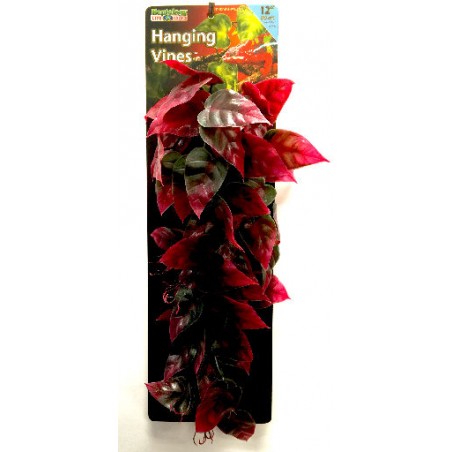 Rep 422 Reptile Vine Vert/Rouge 30cm à 7,90 € - Grizo - 768002 - Plantes artificielles