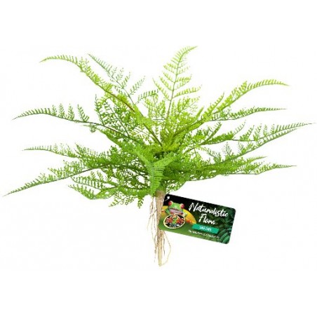 Fougère +/-22cm à 13,90 € - Grizo - 746146 - Plantes artificielles