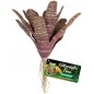 Bromeliade Châtaigne +/- 14cm 746145 Grizo 11,95 € Ornibird