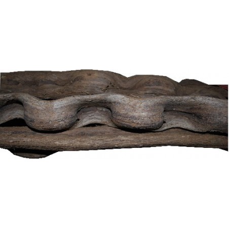 Liane Nature 3-5cm/180-200cm à 25,90 € - Grizo - 781412 - Décoration naturelle