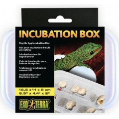 Incubateur pour reptiles - Exo Terra à 15,70 € - Exo Terra - PT2443 - Accessoires