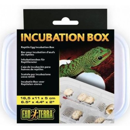 Incubateur pour reptiles - Exo Terra à 15,70 € - Exo Terra - PT2443 - Accessoires