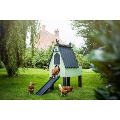 Ouvre-trappe automatique par ouverture extrême - Chickenguard à 200,65 € - ChickenGuard - RCGX - Poulailliers