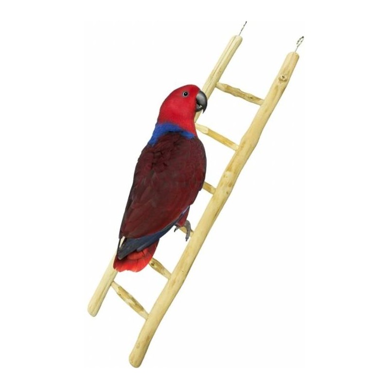 Echelle bois 60cm - Back Zoo Nature