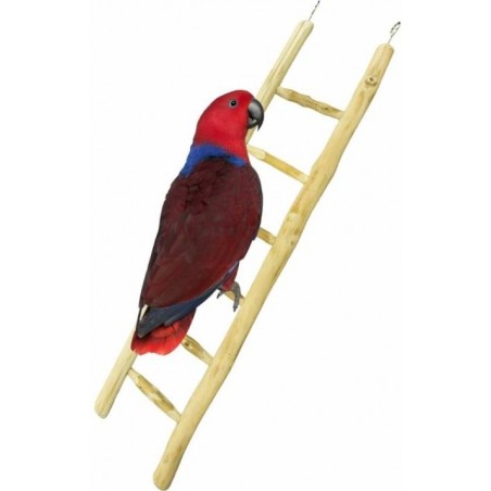 Echelle bois 60cm - Back Zoo Nature ZF1122 Back Zoo Nature 13,60 € Ornibird