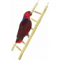 Echelle bois 60cm - Back Zoo Nature