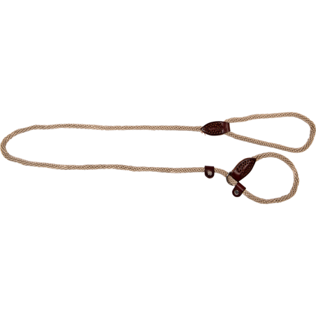 Walkabout Laisse Martingale Beige 9mmx140cm à 22,00 € - Pet Solutions - WALSL2909 - Laisses / Enrouleur