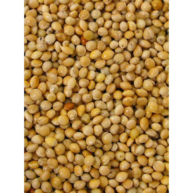 Millet rond jaune 5kg