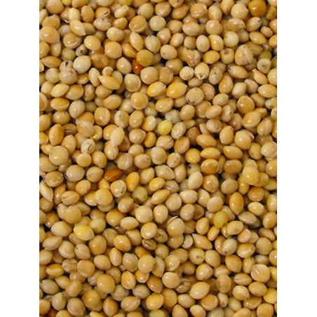 Millet rond jaune 5kg à 8,95 € - Grizo - 103065051 - Graines simples