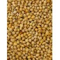 Millet rond jaune 5kg