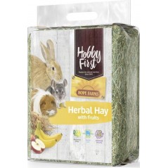 Herbal Hay avec des fruits 1kg - Hobby First à 4,05 € - Hobby First - 663871 - Foin