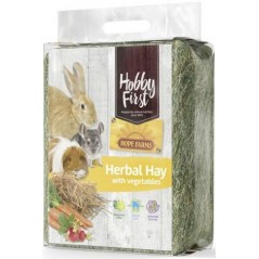 Herbal Hay avec des légumes 1kg - Hobby First à 4,05 € - Hobby First - 663873 - Foin