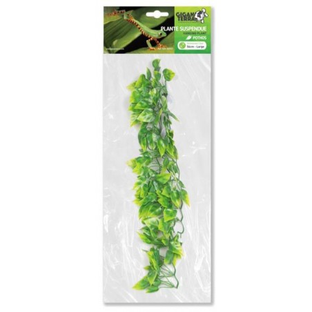 Plantes suspendues Pothos 46cm - Giganterra à 8,95 € - Giganterra - G04-00357 - Décoration artificielle