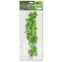 Plantes suspendues Hydrocotyle 56cm - Giganterra à 8,95 € - Giganterra - G04-00354 - Décoration artificielle