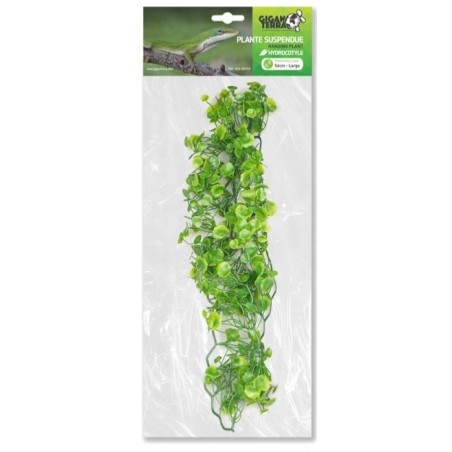 Plantes suspendues Hydrocotyle 56cm - Giganterra à 8,95 € - Giganterra - G04-00354 - Décoration artificielle