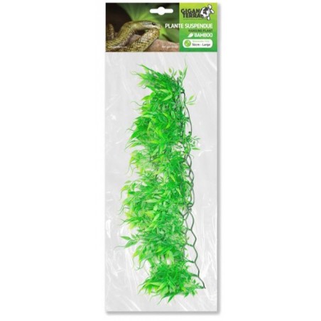 Plantes suspendues Bamboo 56cm - Giganterra