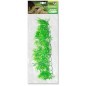 Plantes suspendues Bamboo 56cm - Giganterra G04-00363 Giganterra 8,95 € Ornibird