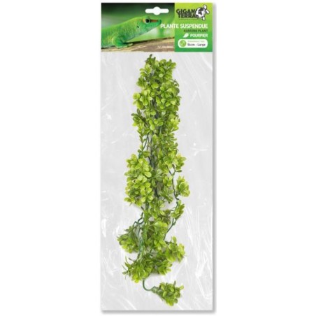 Plantes suspendues Pourpier 56cm - Giganterra G04-00360 Giganterra 8,95 € Ornibird