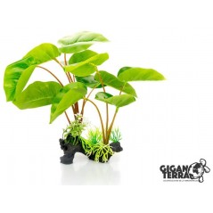 Plante sur pied Philodendron Erubescens 30cm - Giganterra à 9,95 € - Giganterra - G04-00232 - Plantes artificielles