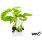 Plante sur pied Philodendron Erubescens 30cm - Giganterra G04-00232 Giganterra 9,95 € Ornibird