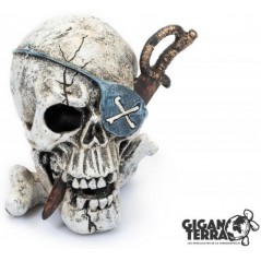 Crâne Pirate 2 10x10,5x11cm - Giganterra à 12,95 € - Giganterra - G04-00603 - Décoration artificielle