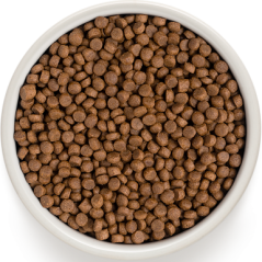 Chat Indoor - 4 Viandes 2kg - Grandorf à 24,15 € - Grandorf - GDCD0502 - Grandorf