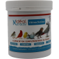 Vitinocholine Poudre 300gr - Idéal Nutricare